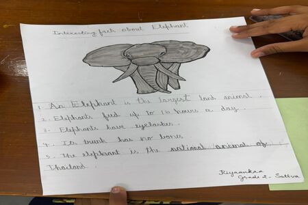 Celebrating World Elephant Day